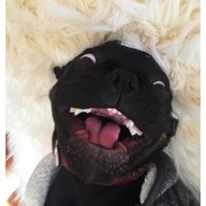 Meet your Posher, Meng